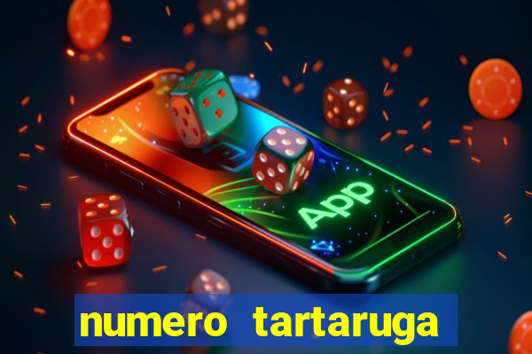 numero tartaruga jogo do bicho